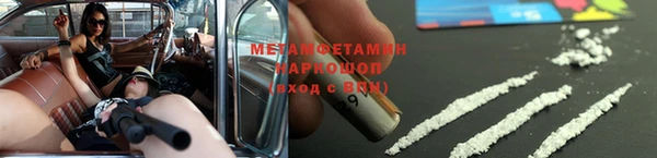 гашик Карпинск
