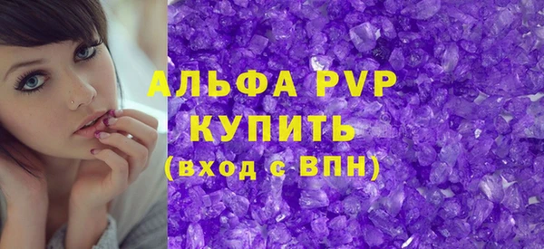 молекула духа Каменногорск