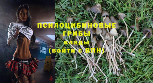 крисы Киренск