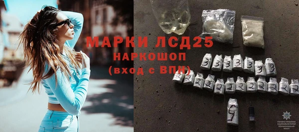 гашик Карпинск