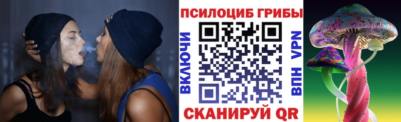 Псилоцибиновые грибы мицелий  Михайловка 